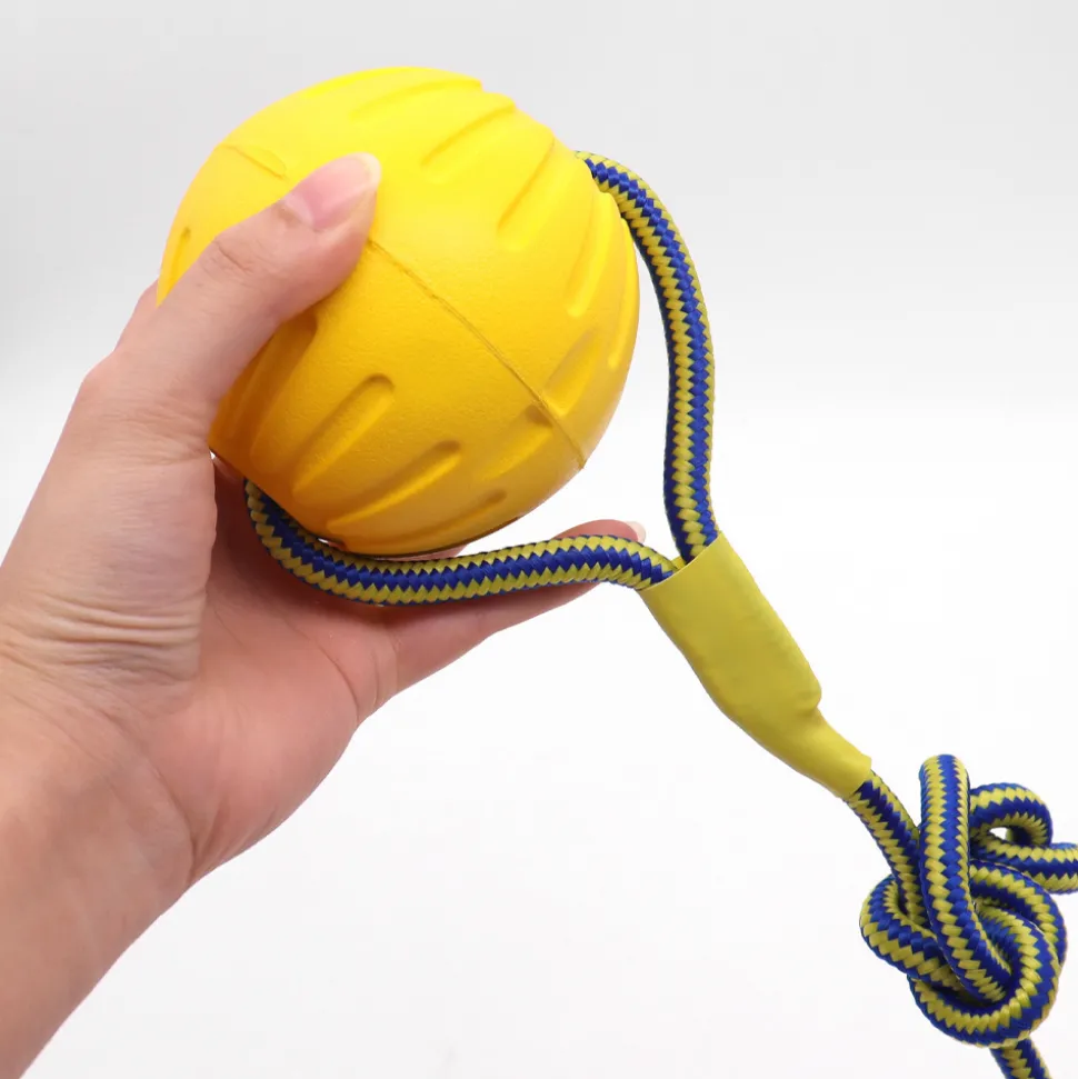 DTOPBUYAGE - Jouet interactif pour chien dtopbuyage eva