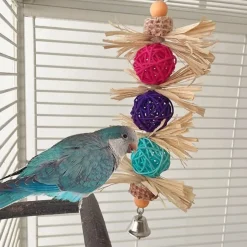 DTOPBUYAGE - Jouet mâcher oiseaux rotin coloré pour meulage dents