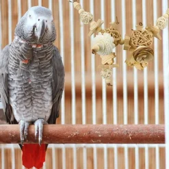 DTOPBUYAGE - Jouet naturel suspension perroquet