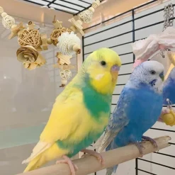 DTOPBUYAGE - Jouet naturel suspension perroquet