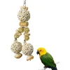DTOPBUYAGE - Jouet naturel suspension perroquet