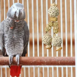 DTOPBUYAGE - Jouet naturel suspension perroquet
