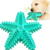 DTOPBUYAGE - Jouets pour chien en forme d'étoile de mer