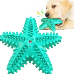 DTOPBUYAGE - Jouets pour chien en forme d'étoile de mer
