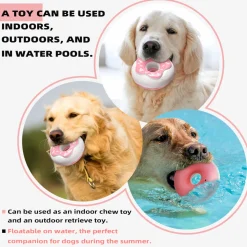 DTOPBUYAGE - Jouets pour chien - indestructibles, résistants et interactifs