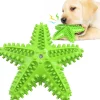 DTOPBUYAGE - Jouets pour chien en forme d'étoile de mer