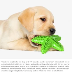 DTOPBUYAGE - Jouets pour chien en forme d'étoile de mer