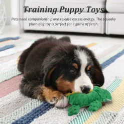 DTOPBUYAGE - Jouets pour chien - en peluche, sonores dtopbuyage