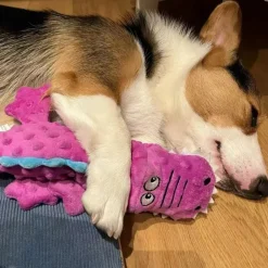 DTOPBUYAGE - Jouets pour chien - en peluche, sonores dtopbuyage