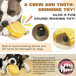 DTOPBUYAGE - Jouets pour mâcher pour chien gâteau d'anniversaire