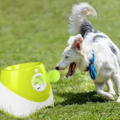 DTOPBUYAGE - Lanceur de balle automatique pour chien interactif