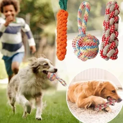 DTOPBUYAGE - Lot 3 jouets corde durables pour chiens orange