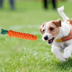 DTOPBUYAGE - Lot 3 jouets corde durables pour chiens orange