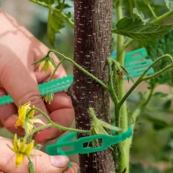 DTOPBUYAGE - Lot de 50 attaches réglables pour plantes 11cm*50 dtopbuyage