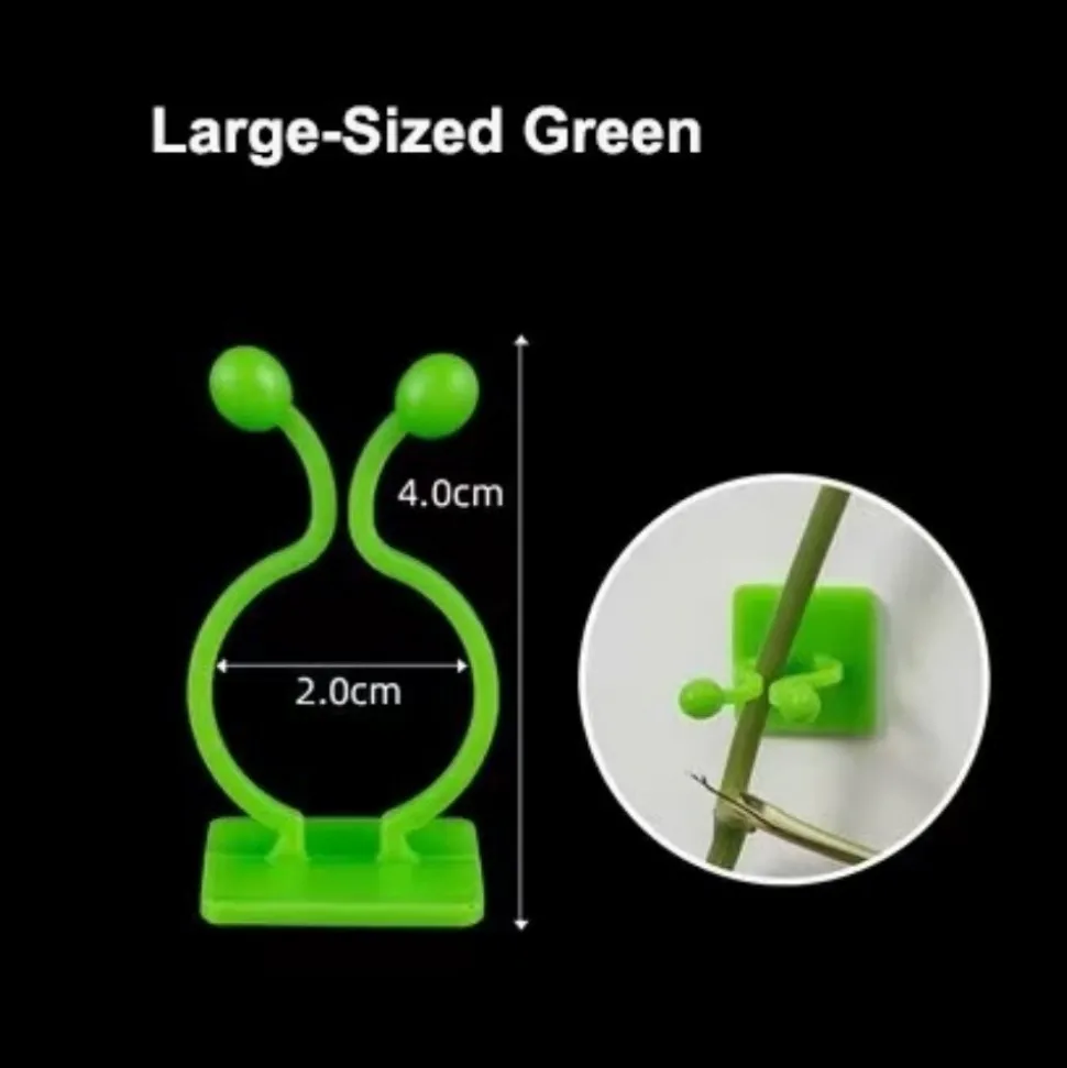 DTOPBUYAGE - Lot de 50 pinces à plantes pour support mural grand dtopbuyage