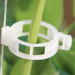 DTOPBUYAGE - Lot de 50 pinces plastiques pour plantes blanc dtopbuyage