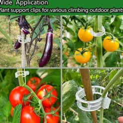 DTOPBUYAGE - Lot de 50 pinces plastiques pour plantes noir dtopbuyage