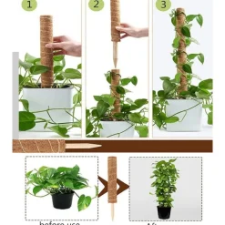 DTOPBUYAGE - Lot de 4 tuteurs en coco pour plantes