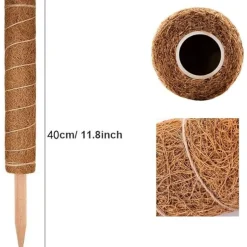 DTOPBUYAGE - Lot de 4 tuteurs en coco pour plantes