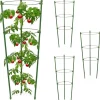 DTOPBUYAGE - Lot de 4 tuteurs pour tomates vert