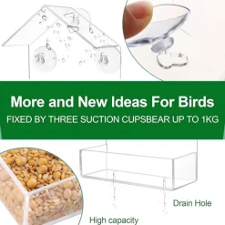 DTOPBUYAGE - Mangeoire oiseaux extérieur transparente