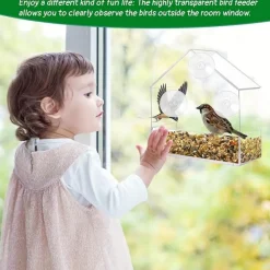 DTOPBUYAGE - Mangeoire oiseaux extérieur transparente