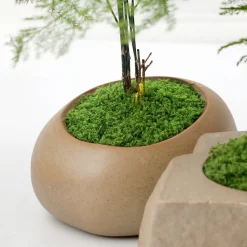 DTOPBUYAGE - Mousse artificielle pour décoration de jardin pack de 2 dtopbuyage