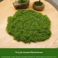 DTOPBUYAGE - Mousse artificielle de 50g*2 pour décoration de jardin dtopbuyage
