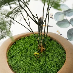 DTOPBUYAGE - Mousse artificielle de 50g*2 pour décoration de jardin dtopbuyage