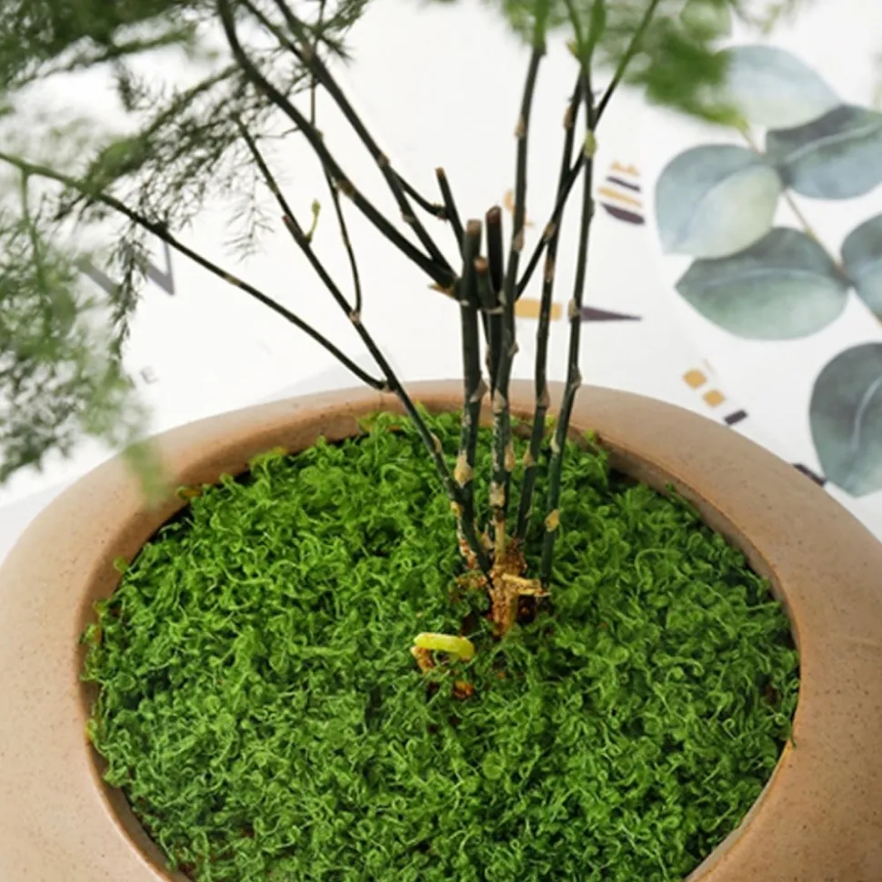 DTOPBUYAGE - Mousse artificielle de 50g*2 pour décoration de jardin dtopbuyage