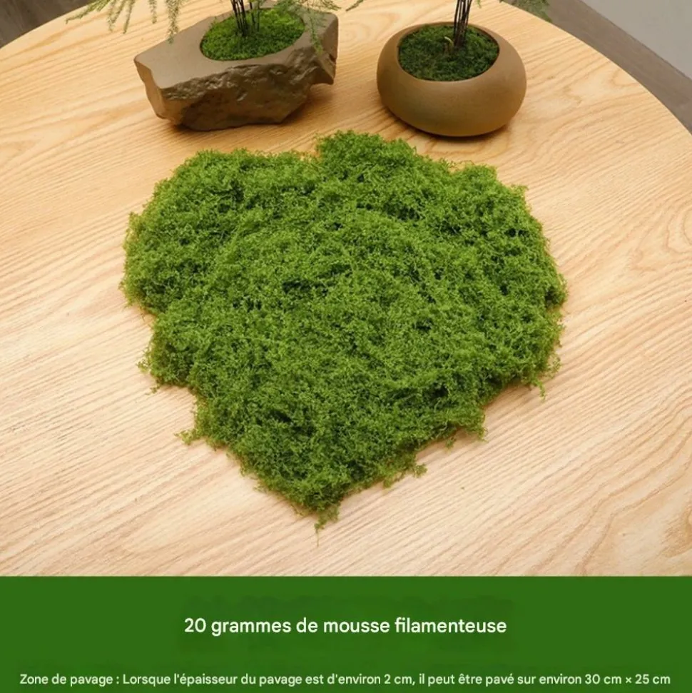 DTOPBUYAGE - Mousse artificielle de 20g*2 pour décoration de jardin dtopbuyage