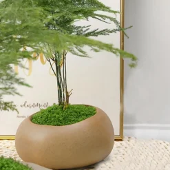 DTOPBUYAGE - Mousse artificielle de 30g*2 pour décoration de jardin dtopbuyage