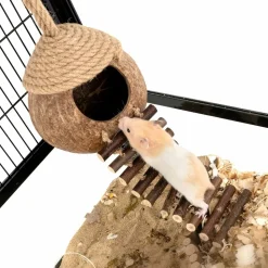 DTOPBUYAGE - Nid et jouet pour oiseaux et hamsters avec échelle