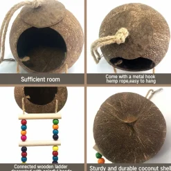 DTOPBUYAGE - Nid et jouet pour oiseaux et hamsters avec échelle
