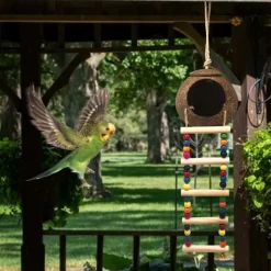 DTOPBUYAGE - Nid et jouet pour oiseaux et hamsters avec échelle