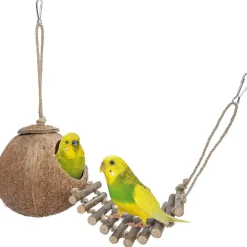 DTOPBUYAGE - Nid et jouet pour oiseaux et hamsters avec échelle