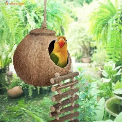 DTOPBUYAGE - Nid et jouet pour oiseaux et hamsters avec échelle