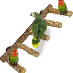 DTOPBUYAGE - Perchoir bois naturel etagé oiseaux
