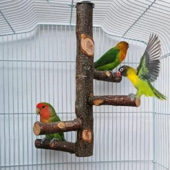 DTOPBUYAGE - Perchoir bois naturel oiseaux
