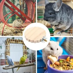 DTOPBUYAGE - Perchoir en bois pour cage d'oiseaux jouet