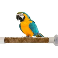 DTOPBUYAGE - Perchoir ventouse accessoire oiseaux