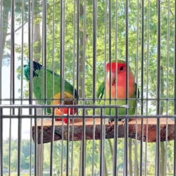 DTOPBUYAGE - Perchoirs bois naturel oiseaux moyen