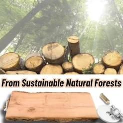 DTOPBUYAGE - Perchoirs bois naturel oiseaux moyen