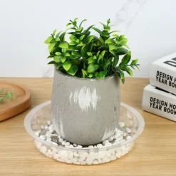 DTOPBUYAGE - Plateaux de soutènement pour pots de plantes transparents 25cm10pcs dtopbuyage