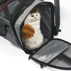 DTOPBUYAGE - Sac à dos pour animaux