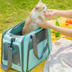 DTOPBUYAGE - Sac pour animaux de compagnie portable dtopbuyage