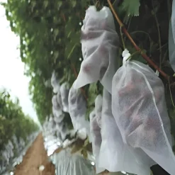 DTOPBUYAGE - Sachets de protection pour fruits en non - tissé 15*30cm 50 pièces dtopbuyage