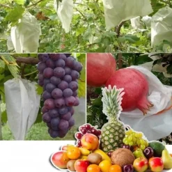DTOPBUYAGE - Sachets de protection pour fruits en non - tissé 15*17cm 50 pièces dtopbuyage