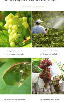 DTOPBUYAGE - Sachets de protection pour fruits en non - tissé 15*17cm 50 pièces dtopbuyage