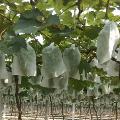 DTOPBUYAGE - Sachets de protection pour fruits en non - tissé épais avec cordon 20*30cm 50 pièces dtopbuyage